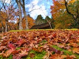 Fotor_15751209835418-1024x768