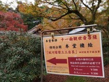 IMG_20201125_133803_copy_1024x768