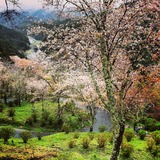 IMG_20130407_114652