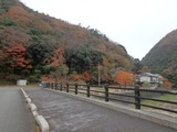 PB210029~01