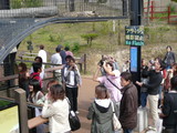 旭山動物園