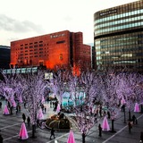 IMG_20131231_234259~01