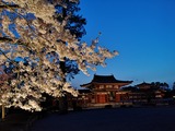 IMG_20190408_184645
