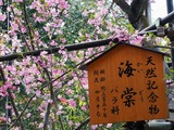 IMG_20190415_134546-1024x768