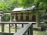 IMG_20200726_124535_copy_1024x768