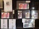 IMG_20190208_093007-800x600