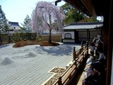 s-060411 029