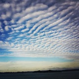 IMG_20131112_164453~01