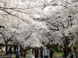 IMG_20190408_144637