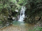 IMG_20200724_135412_copy_1024x768