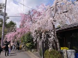 IMG_20220330_111439_copy_1024x768