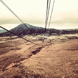 IMG_20121119_105235