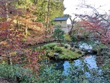 IMG_20201128_154233_copy_1024x768