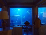 20170221_201345~01
