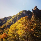 IMG_20130928_075357~01