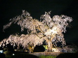 円山公園