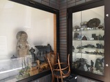 IMG_20190726_111534-1024x768
