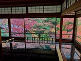 Fotor_157512059773730-1024x768