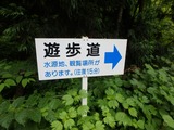 P7050012~01