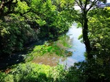 IMG_20190511_112840-1024x768