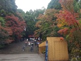 20181116_162031~01