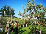 IMG_20190910_155326-1024x768