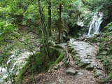IMG_20200724_135403_copy_1024x768