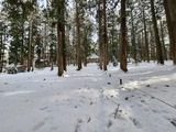 20250117_101943_copy_1024x768