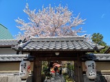 IMG_20190409_131458-1024x768