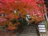PB130096~01
