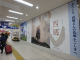 PB170087~01