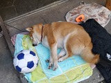 IMG_20190415_172424-1024x768