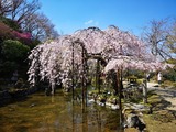 IMG_20190404_094455-1024x768