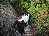 IMG_20190322_160734-1024x768