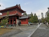 IMG_20190128_140637-800x600