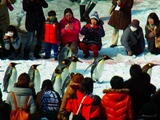 RIMG0313