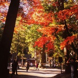 IMG_20131123_110545~01