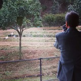 IMG_20131029_160209~01