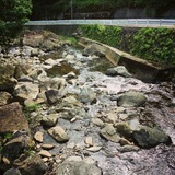 IMG_20140830_170618~01
