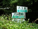 P7140050~01