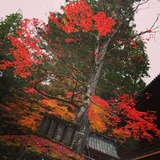 IMG_20131108_173643~01