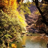 IMG_20131126_184101~01