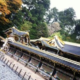 IMG_20131031_143030~01