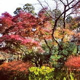 IMG_20121120_094208