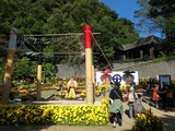 PB150005~01