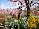 IMG_20190412_131153-1024x768