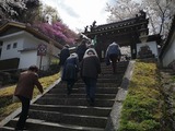 IMG_20190405_132854-1024x768