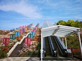 IMG_20190511_094232-1024x768