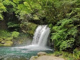 IMG_20220520_094907_copy_1024x768