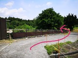 IMG_20220518_171353_copy_1024x768